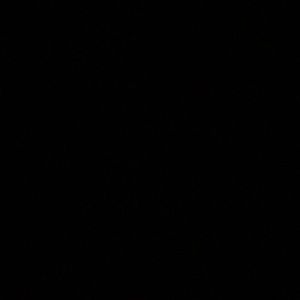 Meet your Posher, Cora